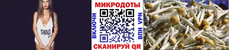 Купить где  Новоржев  Псилоцибиновые грибы мухоморы 